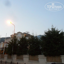 фото из отзыва ID 1033162