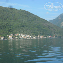 фото из отзыва ID 1033162