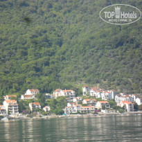 фото из отзыва ID 1033162