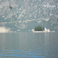 фото из отзыва ID 1033162