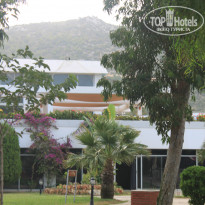 фото из отзыва ID 1034356