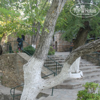 фото из отзыва ID 1034356