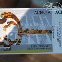 фото из отзыва ID 1034356