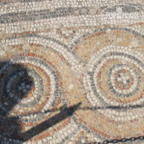 фото из отзыва ID 1034356