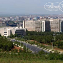 фото из отзыва ID 104646