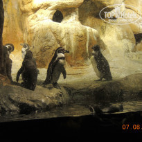 фото из отзыва ID 1040008