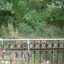 фото из отзыва ID 1040055