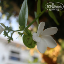 фото из отзыва ID 1040408