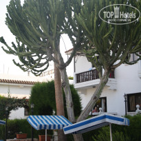 фото из отзыва ID 1040408