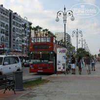 фото из отзыва ID 1040408