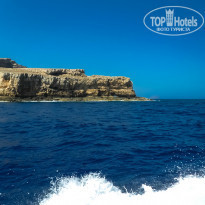 фото из отзыва ID 1041170