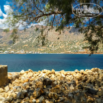 фото из отзыва ID 1041170