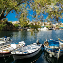 фото из отзыва ID 1041170