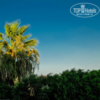 фото из отзыва ID 1041170