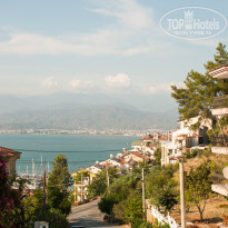 фото из отзыва ID 1041313