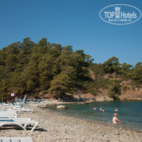 фото из отзыва ID 1041313