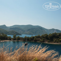 фото из отзыва ID 1041313