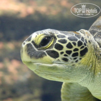 фото из отзыва ID 1041572