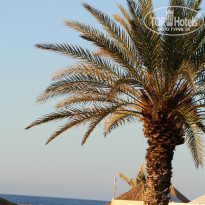 фото из отзыва ID 1041739