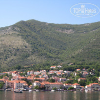 фото из отзыва ID 1041970