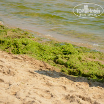 фото из отзыва ID 1041998