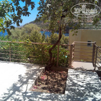 фото из отзыва ID 1042113