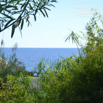 фото из отзыва ID 1042184