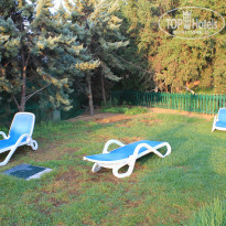 фото из отзыва ID 1042338