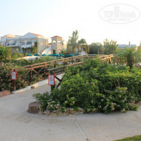 фото из отзыва ID 1042338