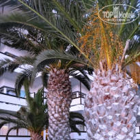 фото из отзыва ID 1042380