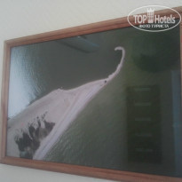 фото из отзыва ID 1042620