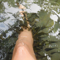 фото из отзыва ID 1042647