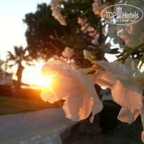 фото из отзыва ID 1042768