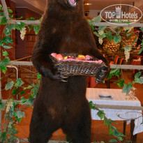 фото из отзыва ID 1042829