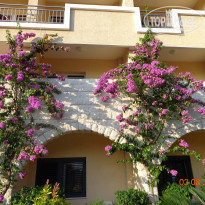 фото из отзыва ID 1043075