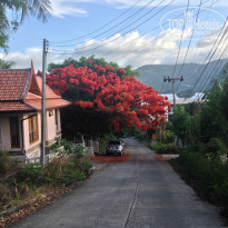 фото из отзыва ID 1043238