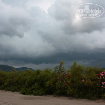 фото из отзыва ID 1043286