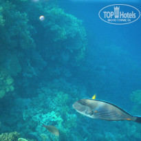 фото из отзыва ID 1043371