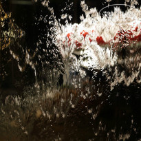 фото из отзыва ID 1043696