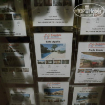 фото из отзыва ID 1043696