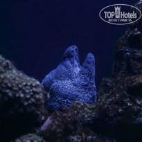 фото из отзыва ID 1043696