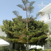 фото из отзыва ID 1043803