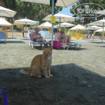 фото из отзыва ID 1044194