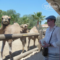 фото из отзыва ID 1044194