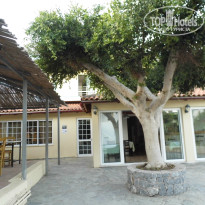 фото из отзыва ID 1044448