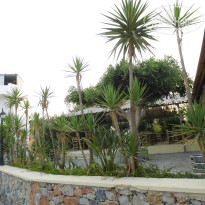 фото из отзыва ID 1044448