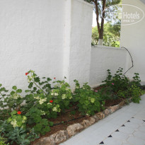 фото из отзыва ID 1044016