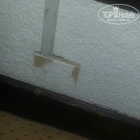 фото из отзыва ID 1044865