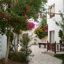 фото из отзыва ID 1044867