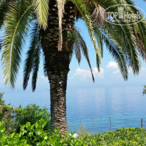 фото из отзыва ID 1045241